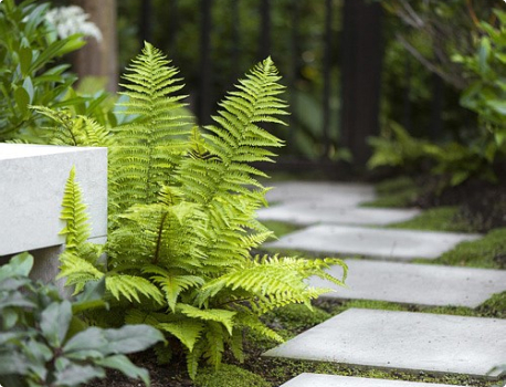 九州華灸(廣東)生態(tài)健康產(chǎn)業(yè)管理有限公司 九州華灸(廣東)生態(tài)健康產(chǎn)業(yè)管理有限公司